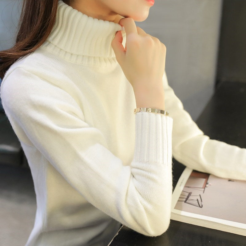 Turtleneck Long Sleeve Knitted Sweater