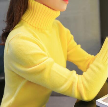 Turtleneck Long Sleeve Knitted Sweater