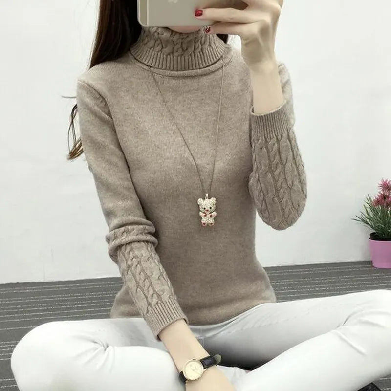 Women Turtleneck Winter Sweater