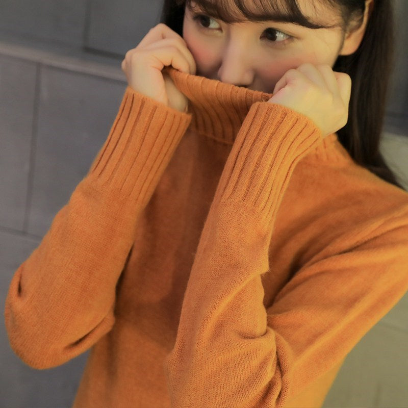 Turtleneck Long Sleeve Knitted Sweater