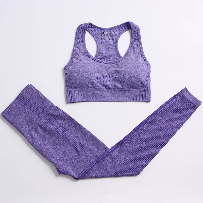 Women Vital Seamless Yoga Set purple bra set