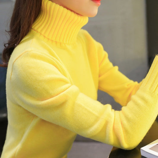 Turtleneck Long Sleeve Knitted Sweater