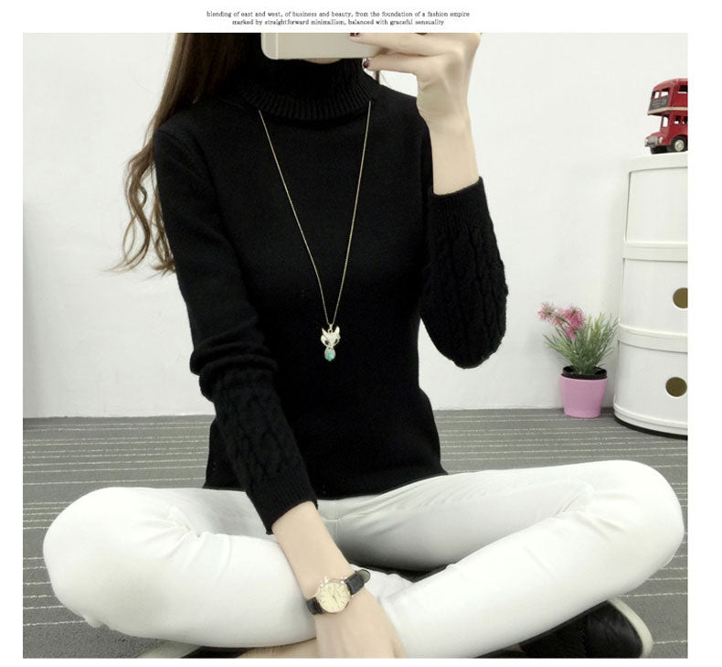Turtleneck Winter Sweater for Women